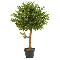 3ft. Potted Olive Topiary Tree