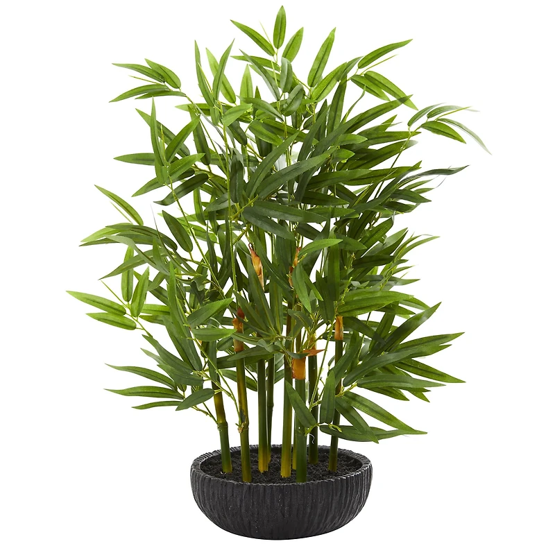 20" Potted Bamboo Tree