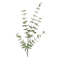 Tall Dusty Green Eucalyptus Stem by Ashland®