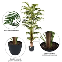 6ft. Potted Fern Palm with Real Touch Leaves