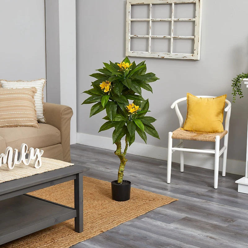 4ft. Potted Plumeria Tree