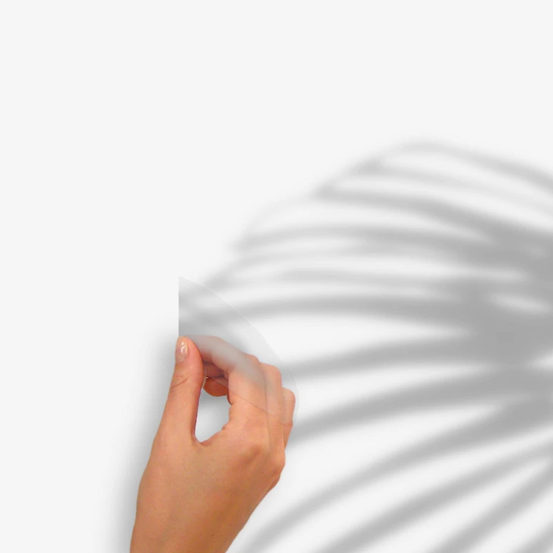 RoomMates Mr. Kate Tropical Shadow Palm Frond Peel & Stick Wall Decals