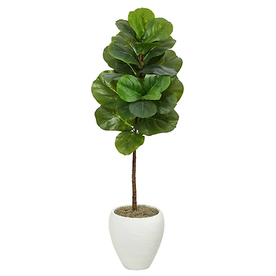 4.5ft. Fiddle Leaf Fig Tree in White Planter