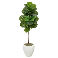 4.5ft. Fiddle Leaf Fig Tree in White Planter