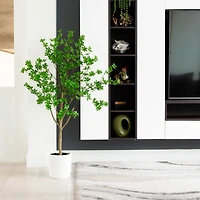 5ft. Enkianthus Tree in White Decorative Planter
