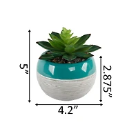 Flora Bunda® Succulent In Two Tone Pattern Teal Ceramic Pot 