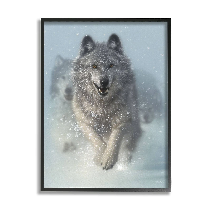 Stupell Industries Wolves Running Through Snow Siberian Wild Winter Animals Framed Wall Art