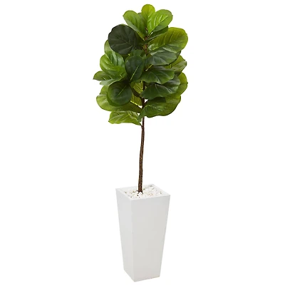 4.7ft. Fiddle Leaf Tree in White Planter