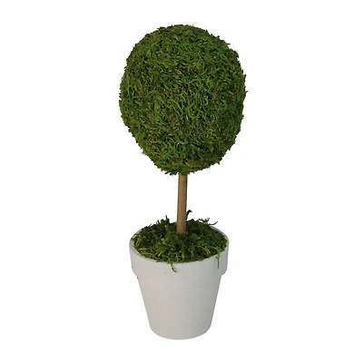 14" Artificial Reindeer Moss Ball Topiary Tree in White Pot