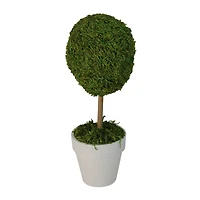14" Artificial Reindeer Moss Ball Topiary Tree in White Pot