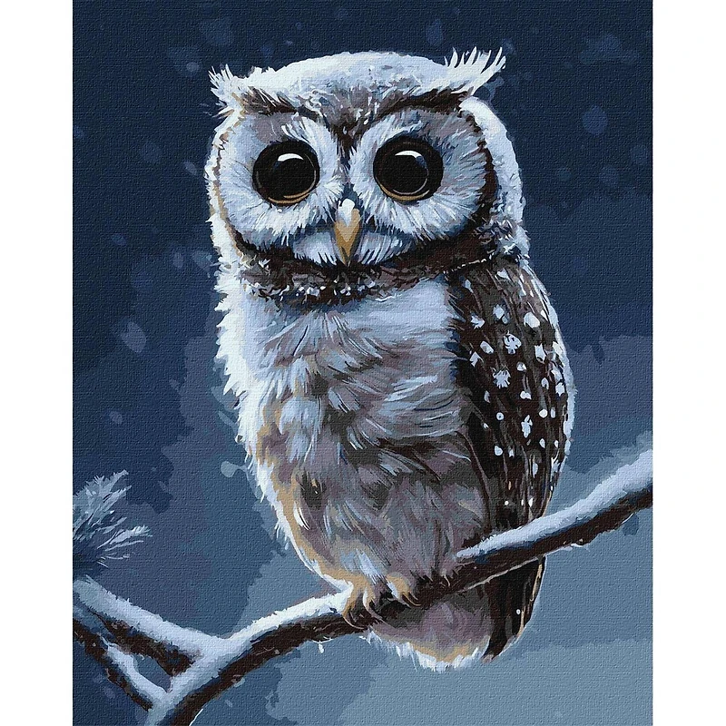 Ideyka Forest Owl Painting by Numbers Kit