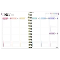 2026 Blue and Gold Lines Medium Weekly Monthly Planner