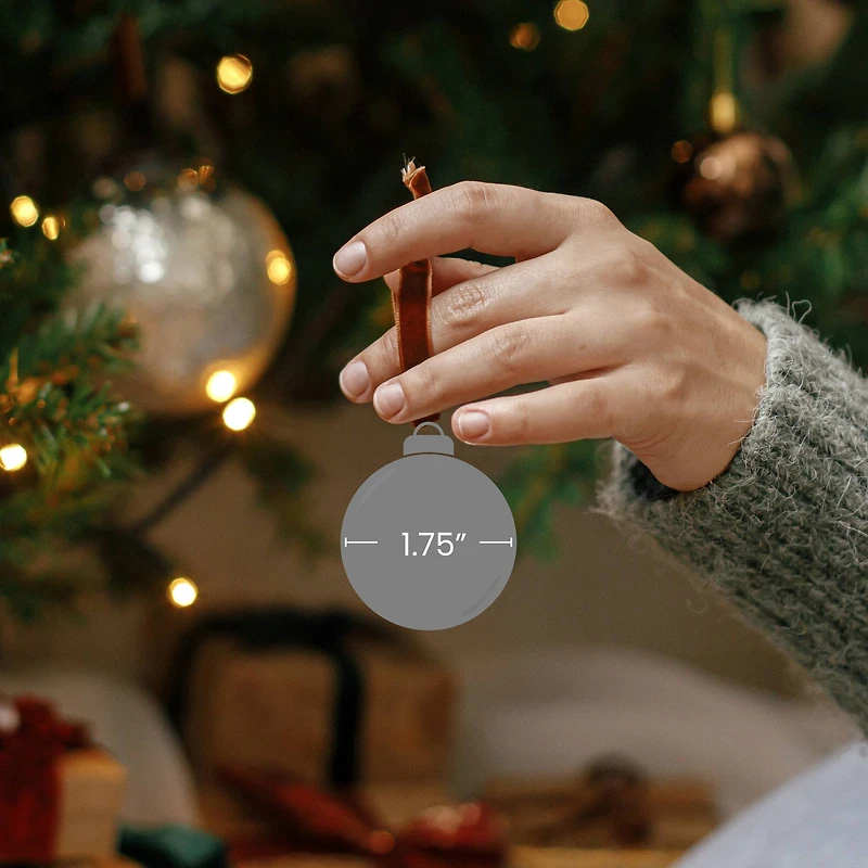 10ct. 1.75" Silver Shiny and Matte Glass Ball Christmas Ornaments