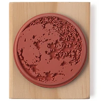 Moon Wood Stamp by Recollections™