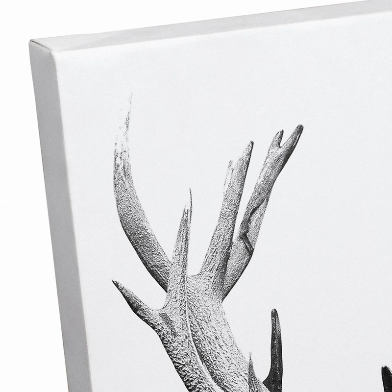 Deer Antlers 11" x 14" Canvas Wall Art