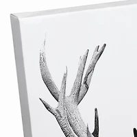 Deer Antlers 11" x 14" Canvas Wall Art