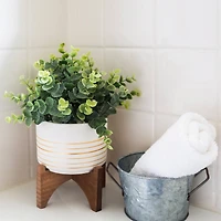 Flora Bunda® 4.75" Eucalyptus In Ceramic Pot On Wood Stand