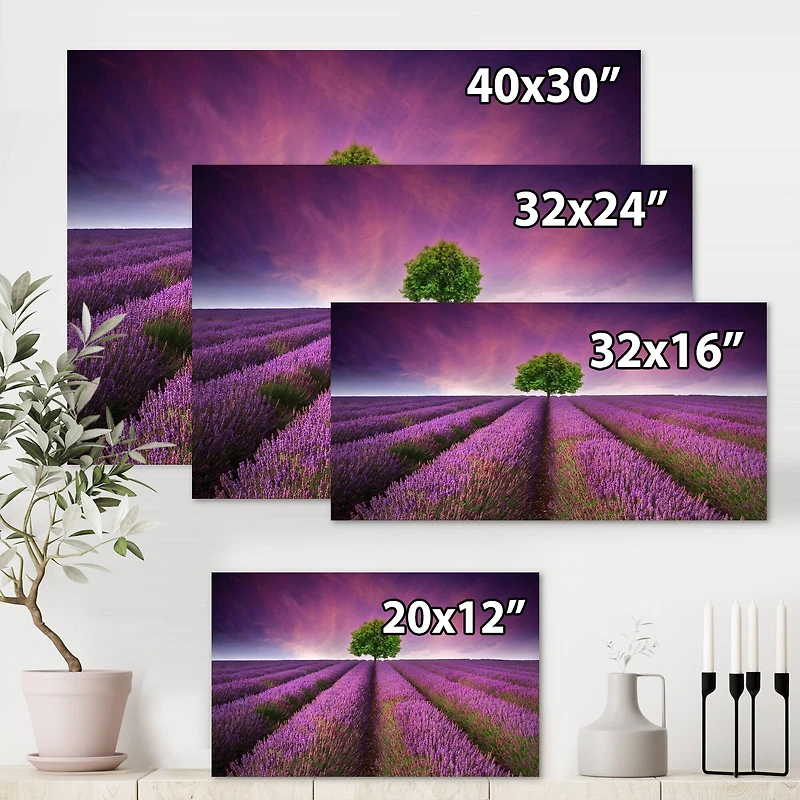 Designart - Stunning Lavender Field Summer Sunset With Tree