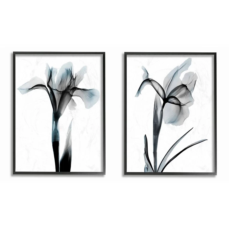 Stupell Industries Contrast Black And Blue Flower Bloom Designs in Black Frame Wall Art