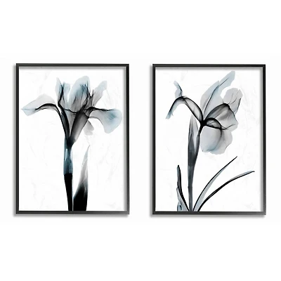 Stupell Industries Contrast Black And Blue Flower Bloom Designs in Black Frame Wall Art