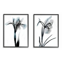 Stupell Industries Contrast Black And Blue Flower Bloom Designs in Black Frame Wall Art
