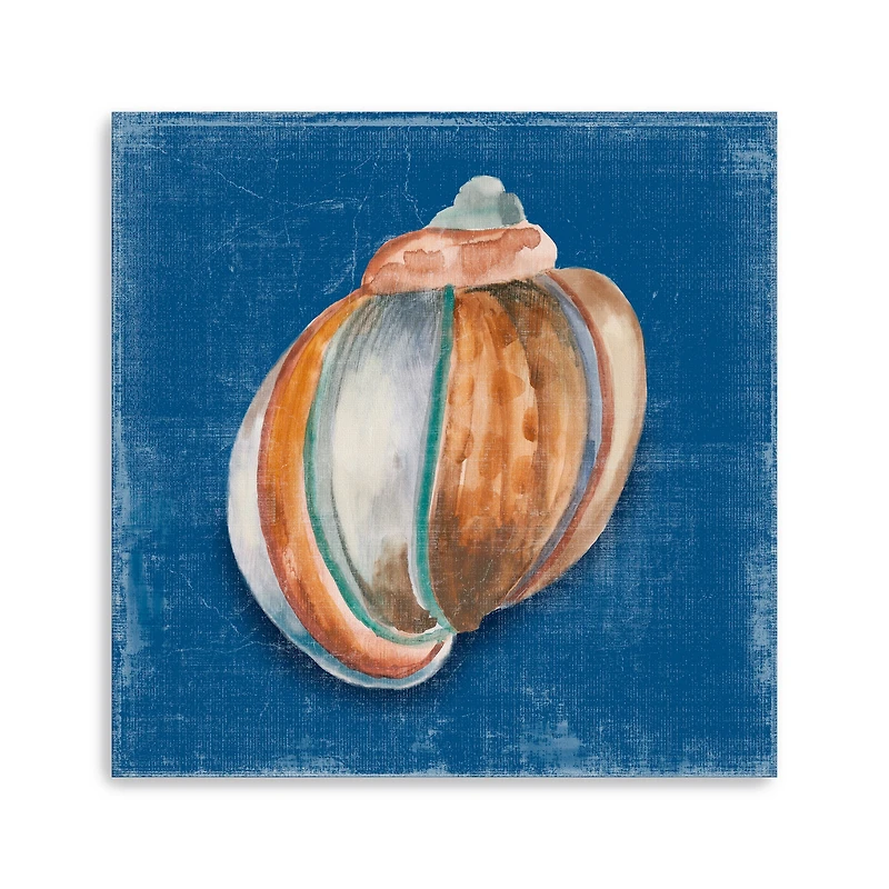 Rosecliff Shell II Canvas Giclee