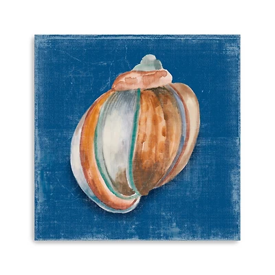 Rosecliff Shell II Canvas Giclee