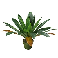 22" Potted Artificial Green & Brown Bird Nest Fern