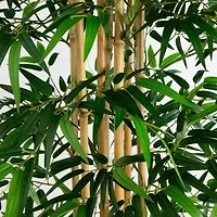 9ft. Potted Bamboo Tree with Real Bamboo Trunks