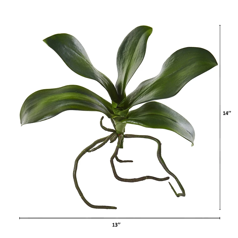 7" Phalaenopsis Orchid Leaf Artificial Flower (Set of 6)