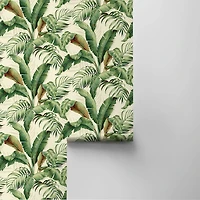 Tommy Bahama® Palmiers Peel & Stick Wallpaper