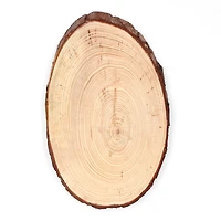 ArtSkills 10" Unfinished Natural Wood Slice