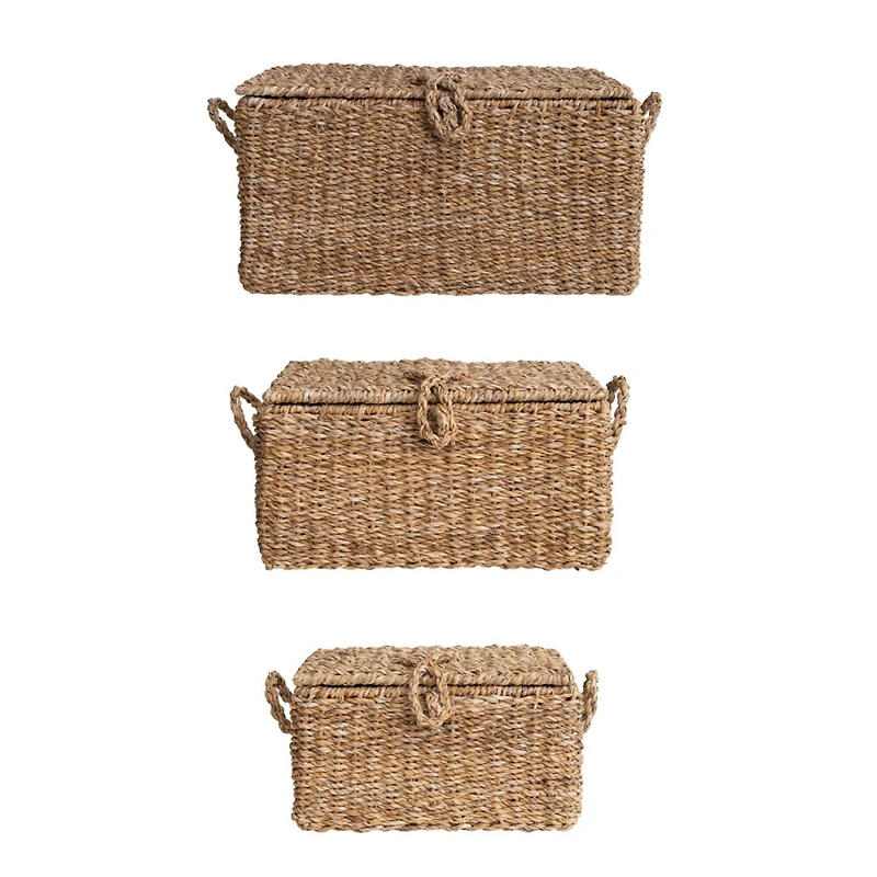 Hello Honey® Natural Woven Seagrass Storage Trunk Set