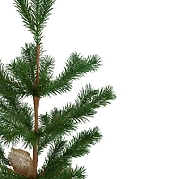 2ft. Unlit Ponderosa Pine Artificial Christmas Tree in Burlap Base