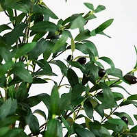 5ft. Potted Artificial Olive Tree