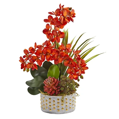 21" Autumn Orange Moth Orchid & Succulent Arrangement in Planter