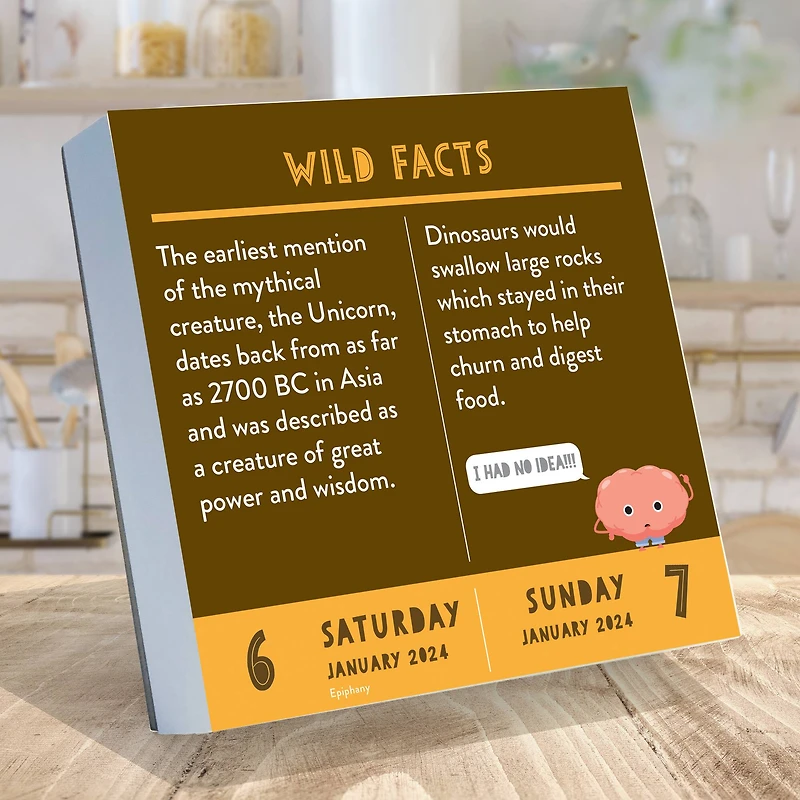 TF Publishing 2024 Smarty Pants Daily Desktop Calendar