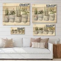 Designart - Cactus and Succulent House Plants V