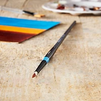 Princeton™ Aspen™ Synthetic Long Handle Round Brush