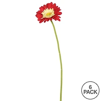 Red Gerbera Daisy Stem, 6ct.