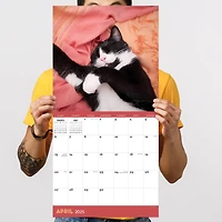 TF Publishing 2025 Cat Dreams Wall Calendar