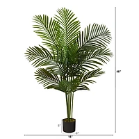 4ft. Potted Paradise Palm Tree