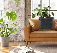 Hello Honey® Charcoal Gray Velvet Pillow Cover