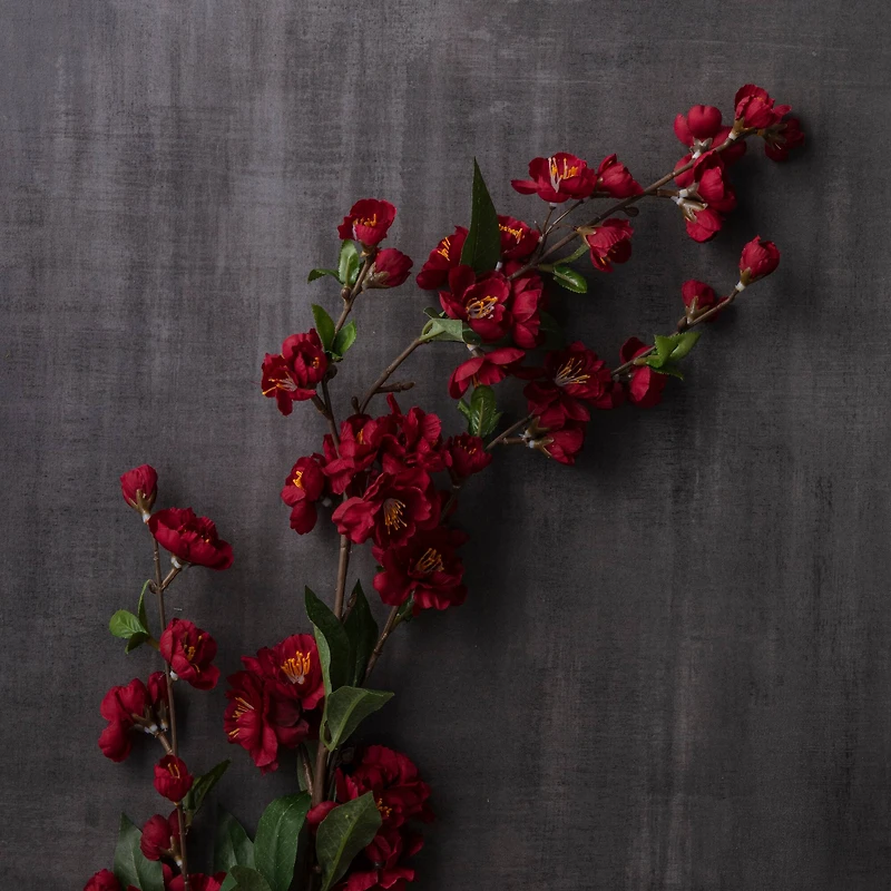 12 Pack: Burgundy Blossom Spray by Ashland®