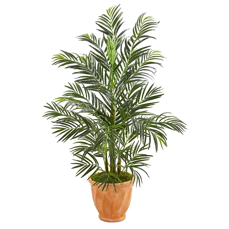 4ft. Areca Palm Tree in Terra Cotta Planter