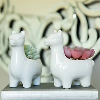 Flora Bunda 5" White Empty Ceramic Llama Set