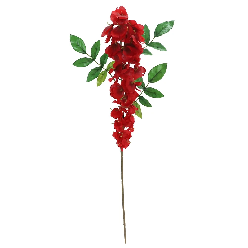 Red Wisteria Stem by Ashland®