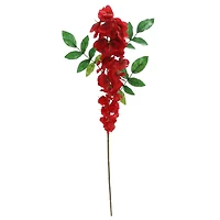 Red Wisteria Stem by Ashland®
