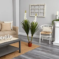 4.7ft. Potted Flowering Yucca Plant