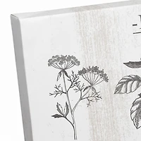 Kitchen Herbs Canvas Wall Art